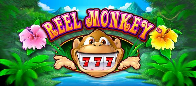 jhandi munda game apk icon